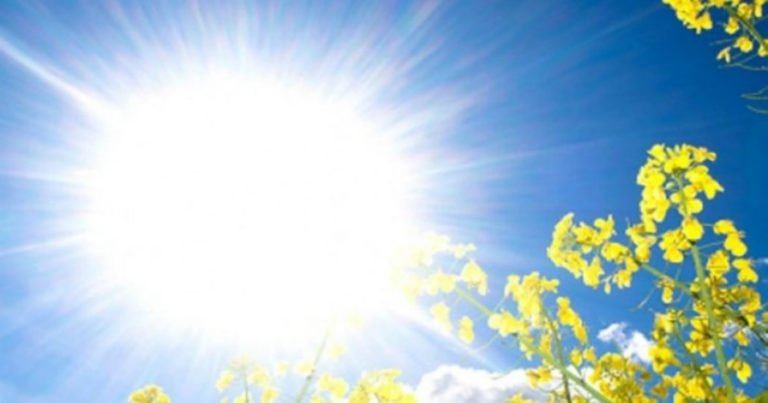 Prognoza za vikend: Vrijeme u BiH sunčano, temeprature do 12 stepeni