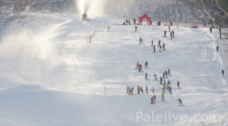 2. FIS Trophy Ravna Planina – Rezultati slalom