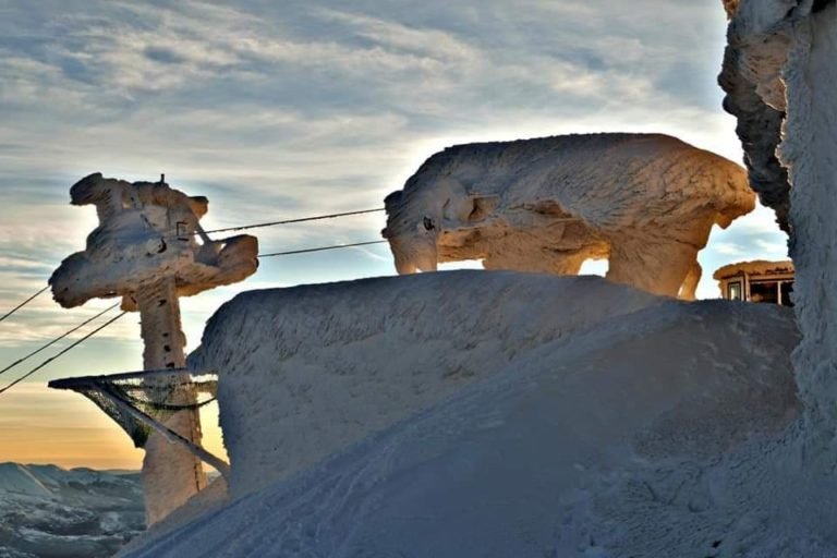 Veliki doprinos FUCZ – za nekoliko dana 4sjed u funkciji