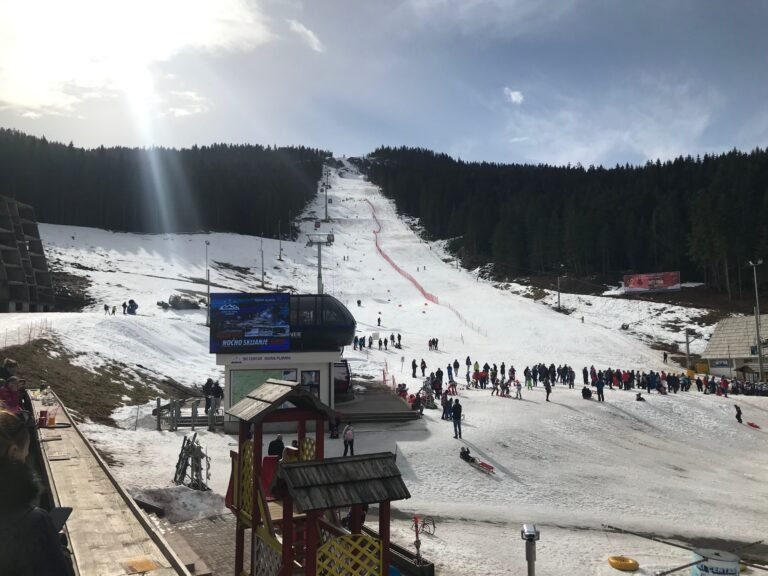 MAJNEX CUP 2021 – REZULTATI