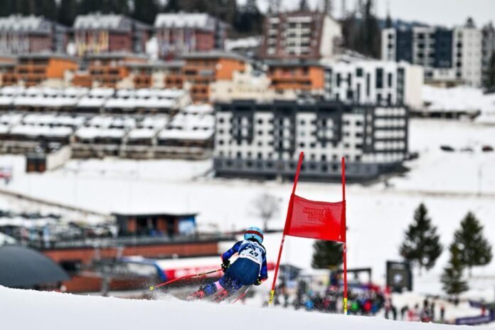 WhatsApp Image 2026-01-23 at 16.58.20